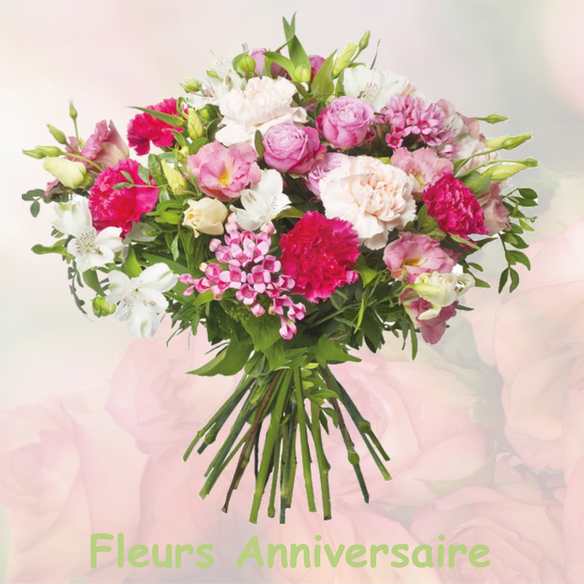 fleurs anniversaire LAGNY-SUR-MARNE